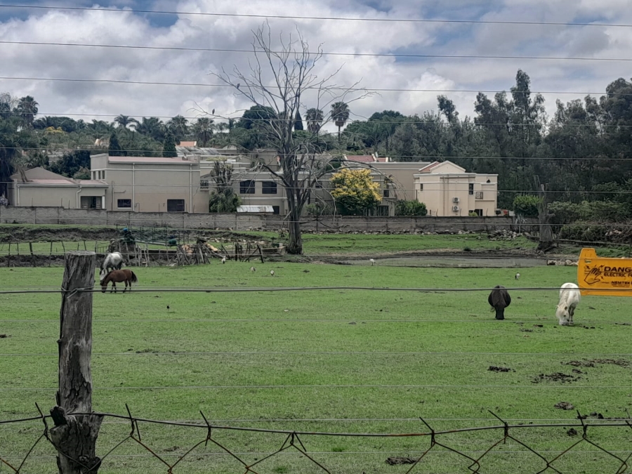 To Let 4 Bedroom Property for Rent in Randpark Ridge Gauteng