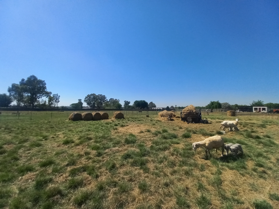 4 Bedroom Property for Sale in Theoville Gauteng