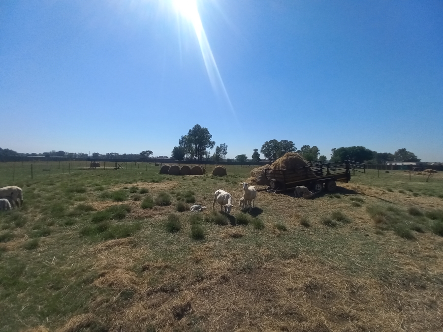 4 Bedroom Property for Sale in Theoville Gauteng