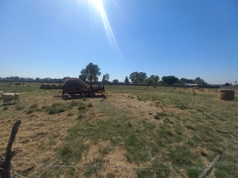 4 Bedroom Property for Sale in Theoville Gauteng