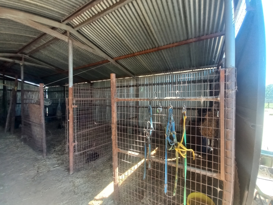 4 Bedroom Property for Sale in Theoville Gauteng