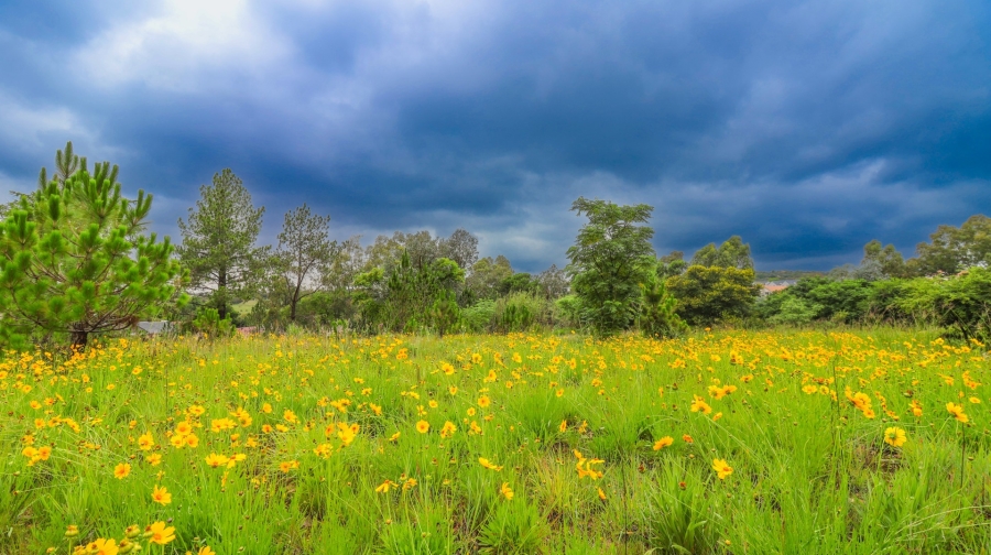 0 Bedroom Property for Sale in Lonehill Gauteng