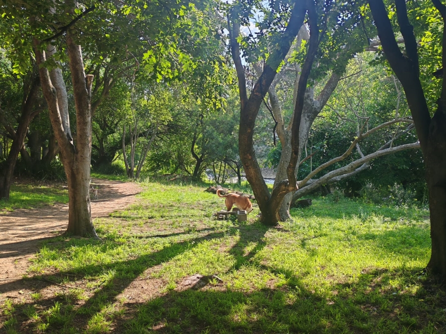 To Let 1 Bedroom Property for Rent in Morningside Manor Gauteng