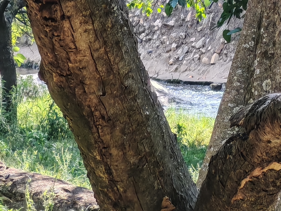 To Let 1 Bedroom Property for Rent in Morningside Manor Gauteng