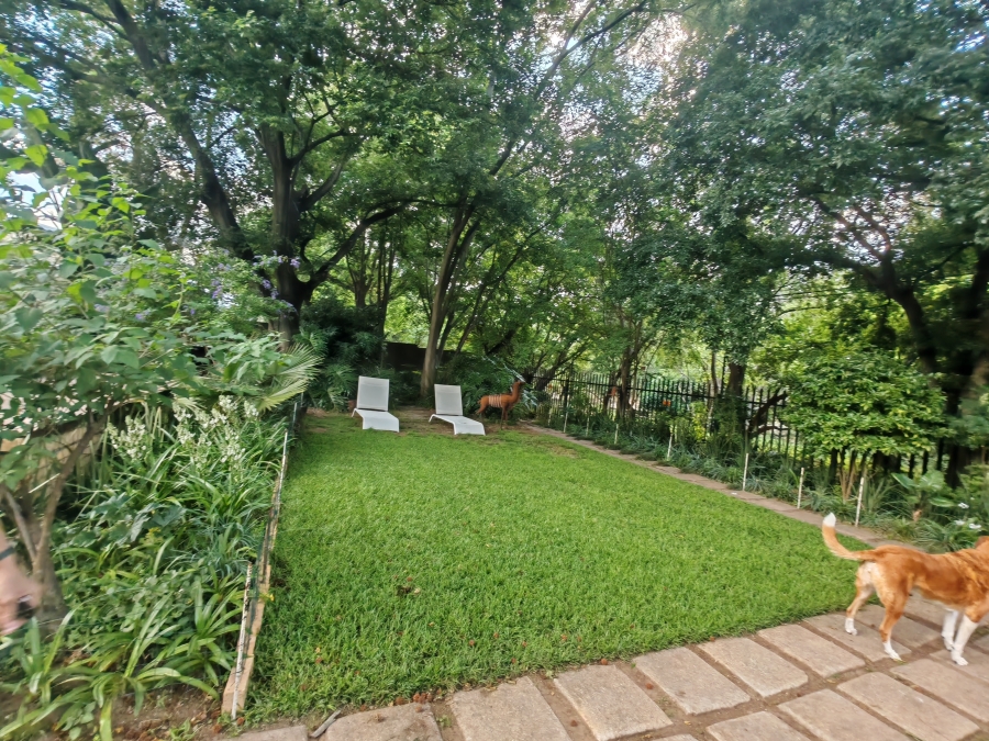 To Let 1 Bedroom Property for Rent in Morningside Manor Gauteng