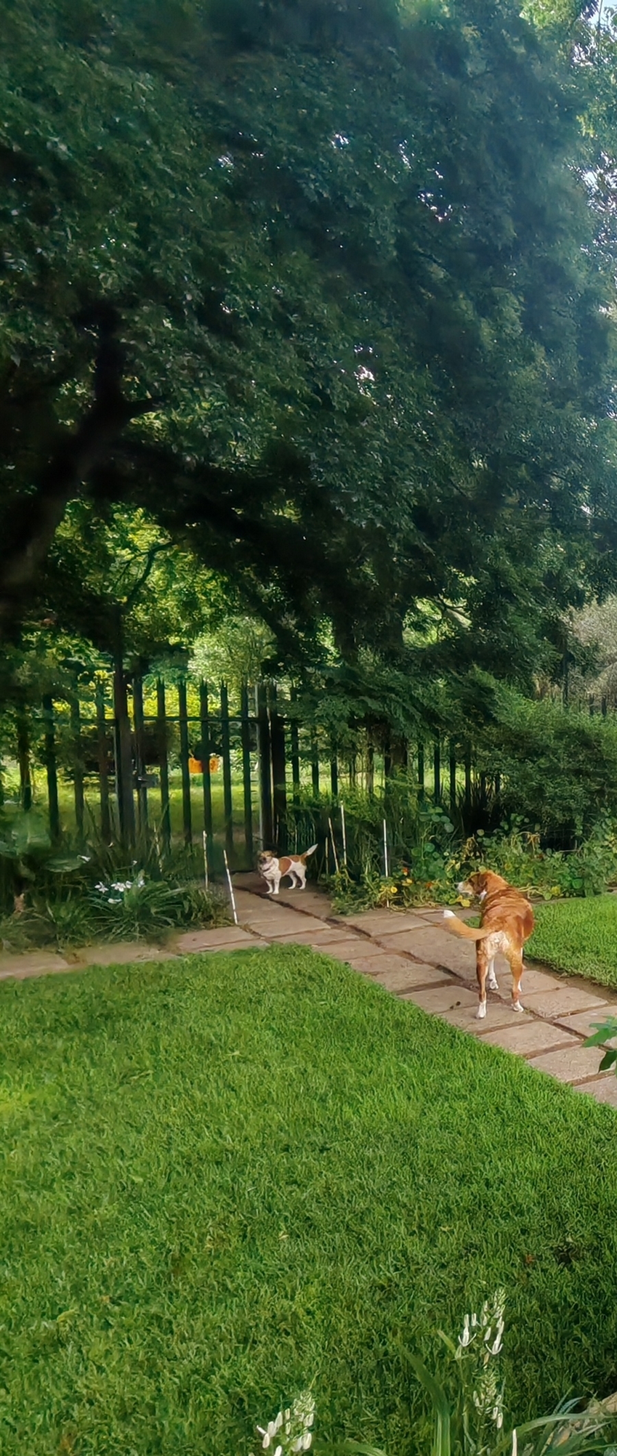 To Let 1 Bedroom Property for Rent in Morningside Manor Gauteng