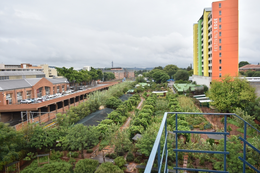 3 Bedroom Property for Sale in Hatfield Gauteng