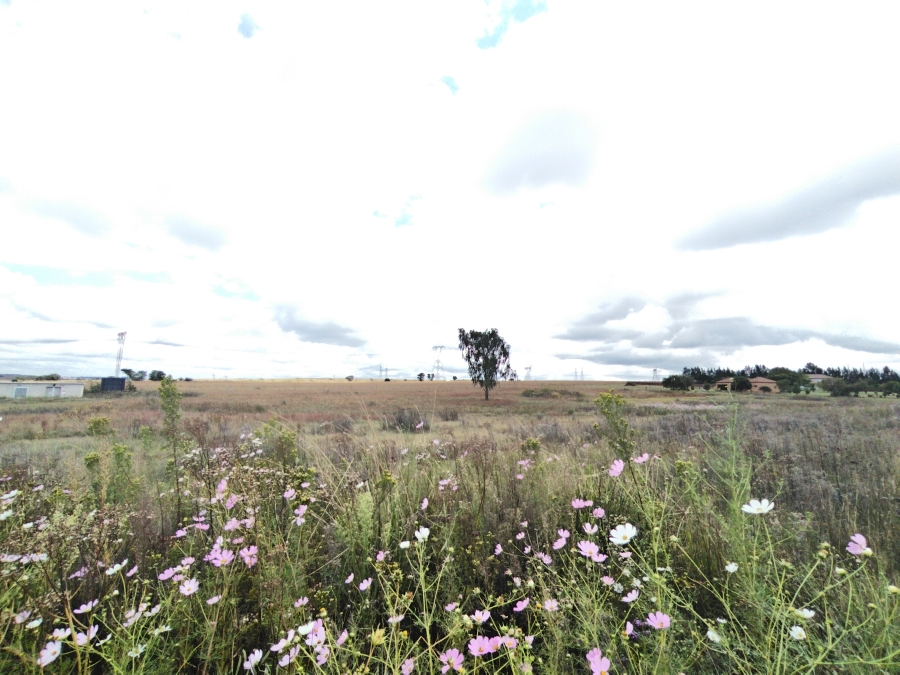 0 Bedroom Property for Sale in Rietvlei View Gauteng