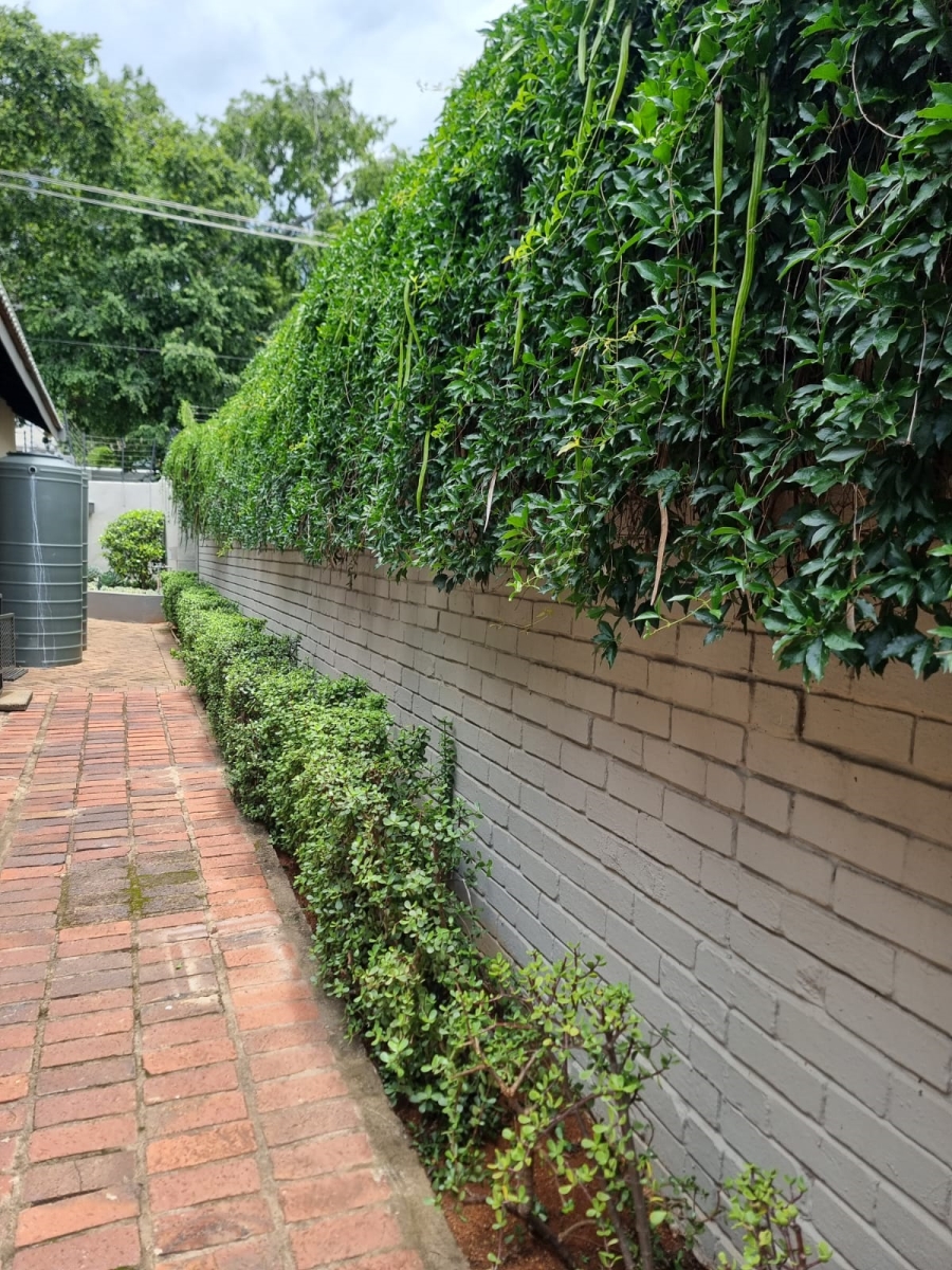 To Let 1 Bedroom Property for Rent in Brooklyn Gauteng