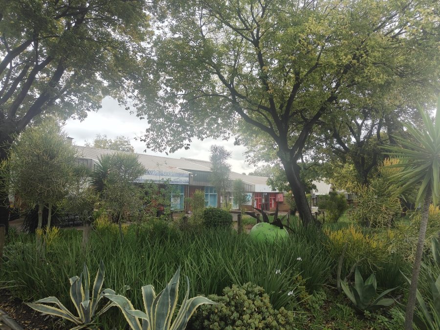 To Let commercial Property for Rent in Valhalla Gauteng