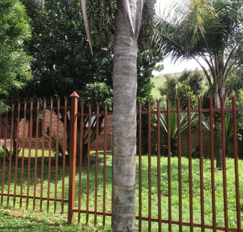 4 Bedroom Property for Sale in Suiderberg Gauteng