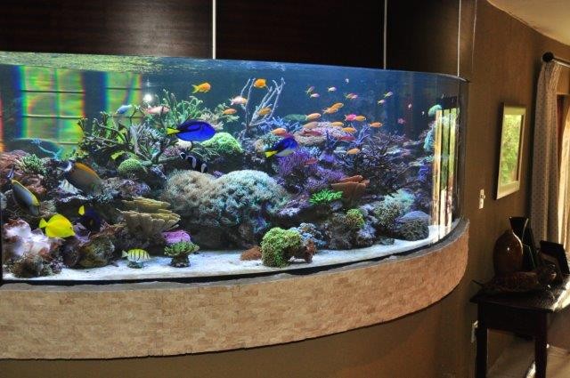 To Let 4 Bedroom Property for Rent in Rivonia Gauteng