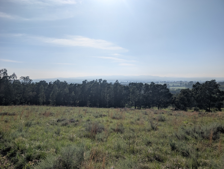 0 Bedroom Property for Sale in Blue Saddle Ranches Gauteng