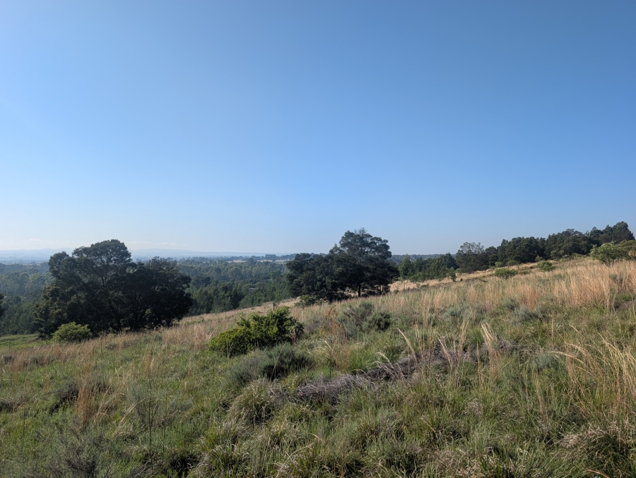 0 Bedroom Property for Sale in Blue Saddle Ranches Gauteng