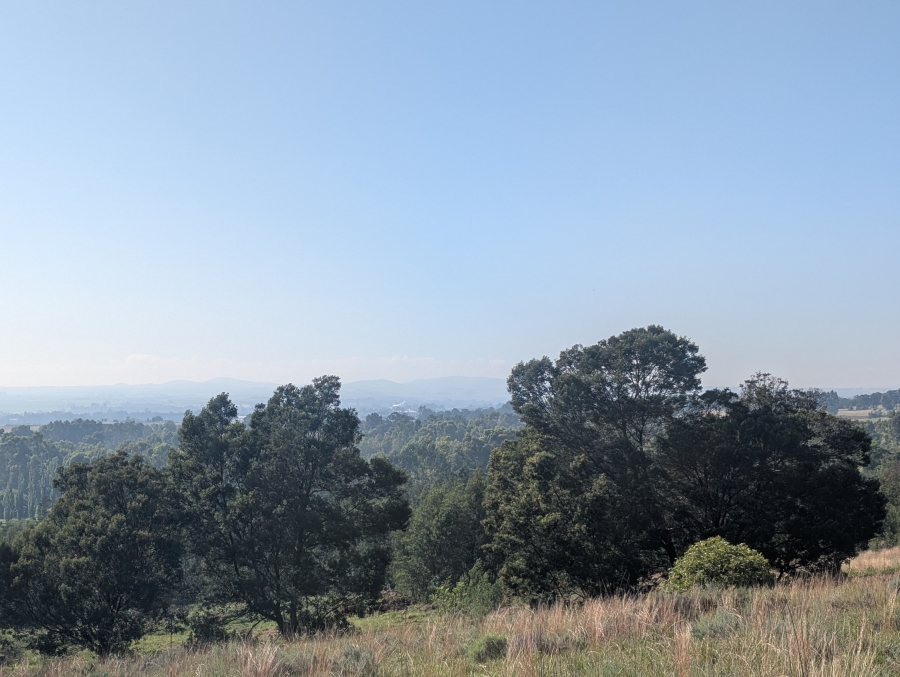 0 Bedroom Property for Sale in Blue Saddle Ranches Gauteng