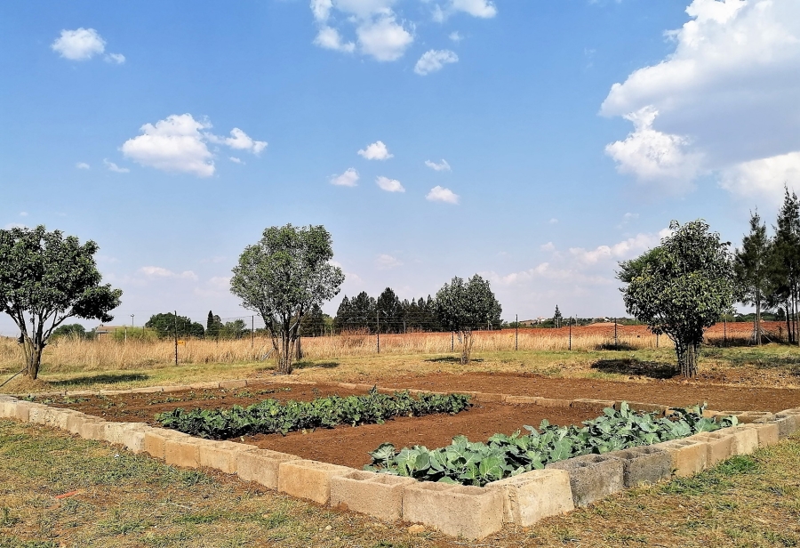 5 Bedroom Property for Sale in Blue Saddle Ranches Gauteng