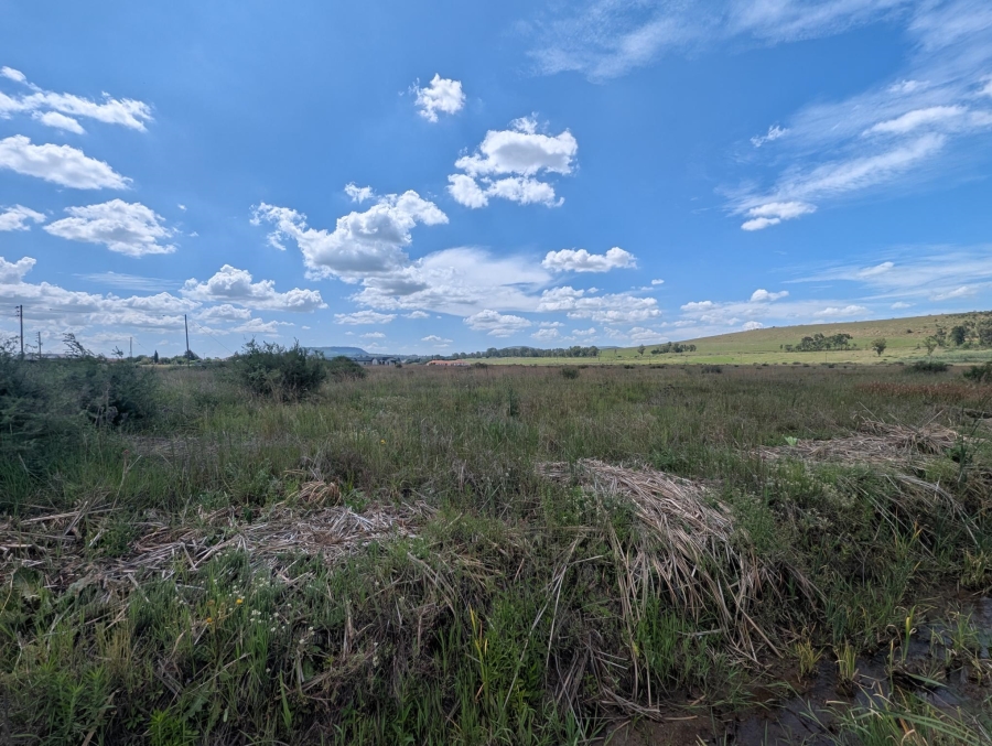 0 Bedroom Property for Sale in Blue Saddle Ranches Gauteng