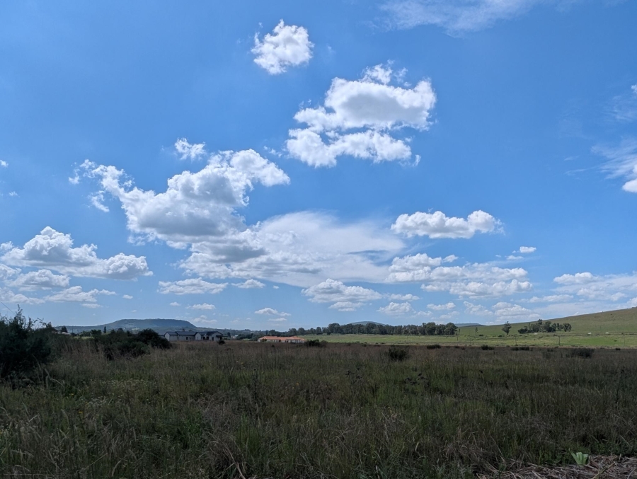 0 Bedroom Property for Sale in Blue Saddle Ranches Gauteng