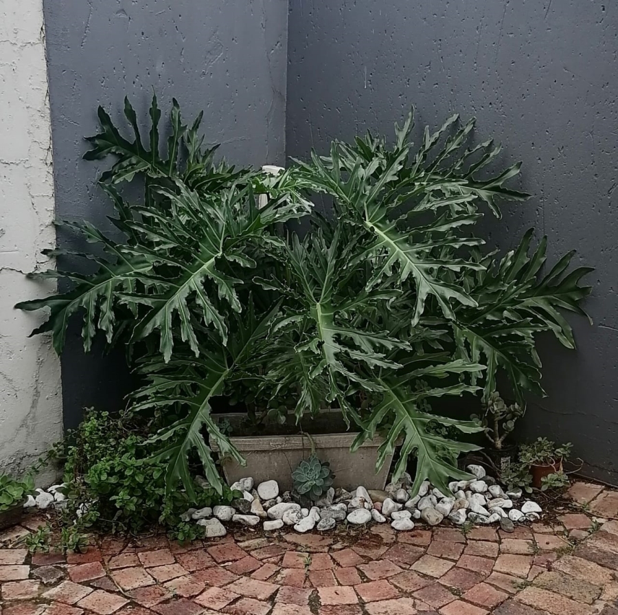 2 Bedroom Property for Sale in Elsburg Gauteng