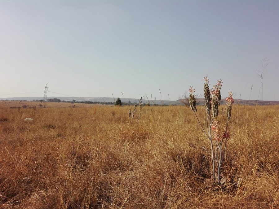 0 Bedroom Property for Sale in Mooiplaats Gauteng