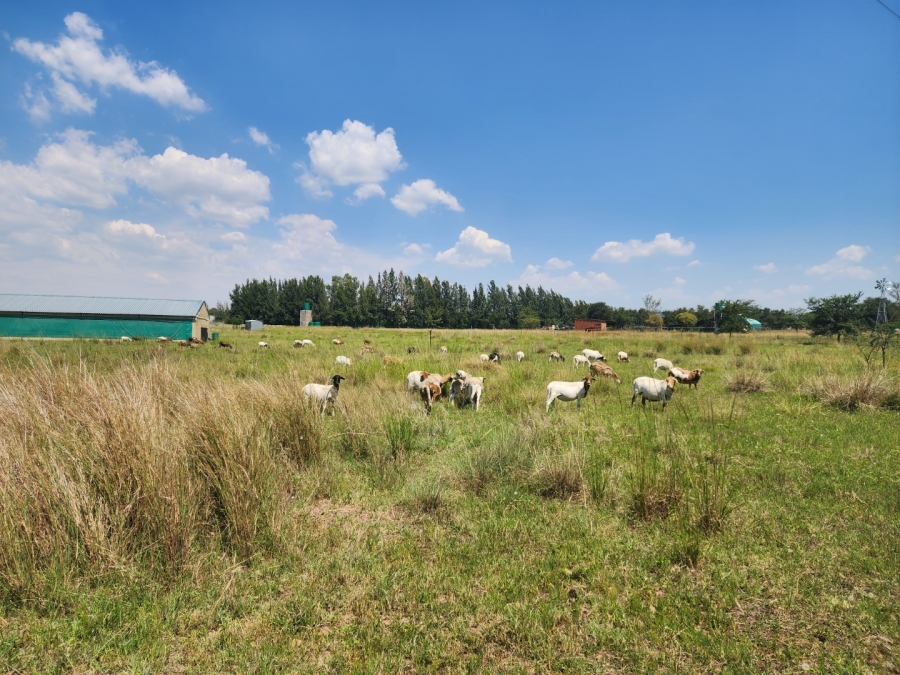 3 Bedroom Property for Sale in Rayton Gauteng