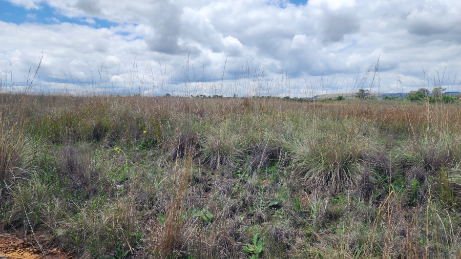 0 Bedroom Property for Sale in Mooiplaats Gauteng