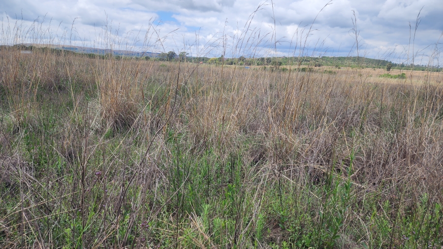 0 Bedroom Property for Sale in Mooiplaats Gauteng