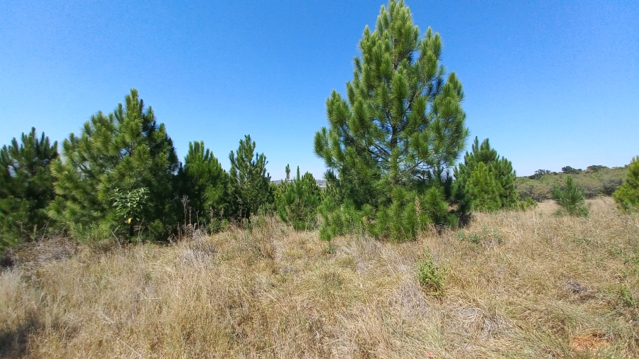 0 Bedroom Property for Sale in Zwavelpoort Gauteng