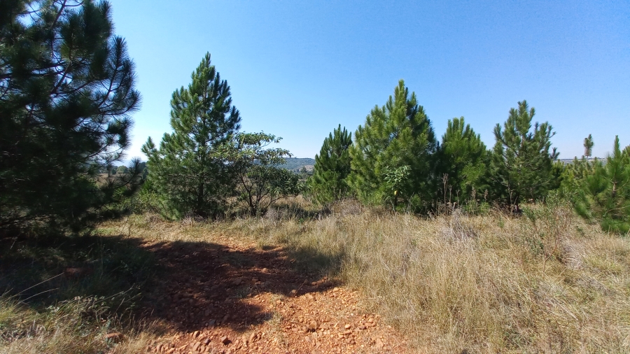 0 Bedroom Property for Sale in Zwavelpoort Gauteng