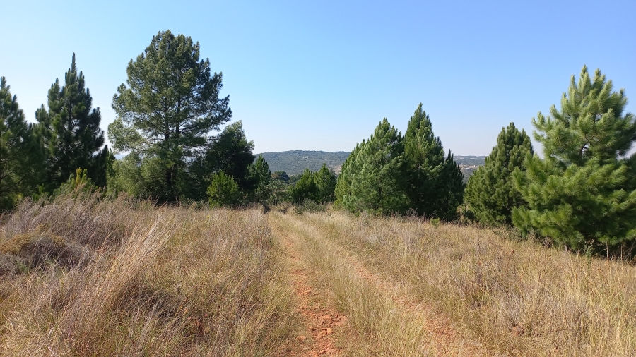 0 Bedroom Property for Sale in Zwavelpoort Gauteng