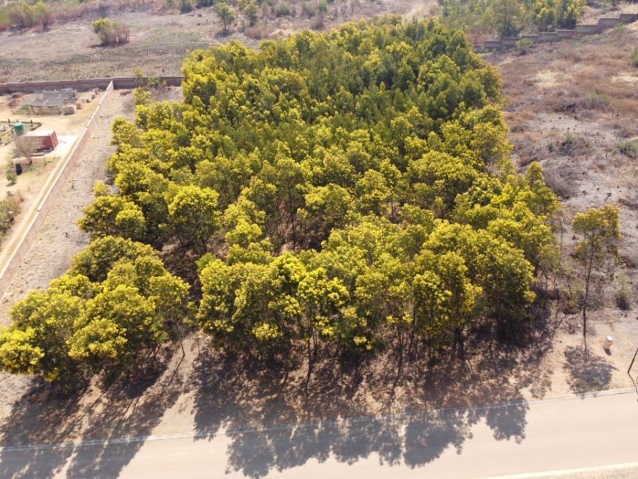 0 Bedroom Property for Sale in Mooikloof Gauteng