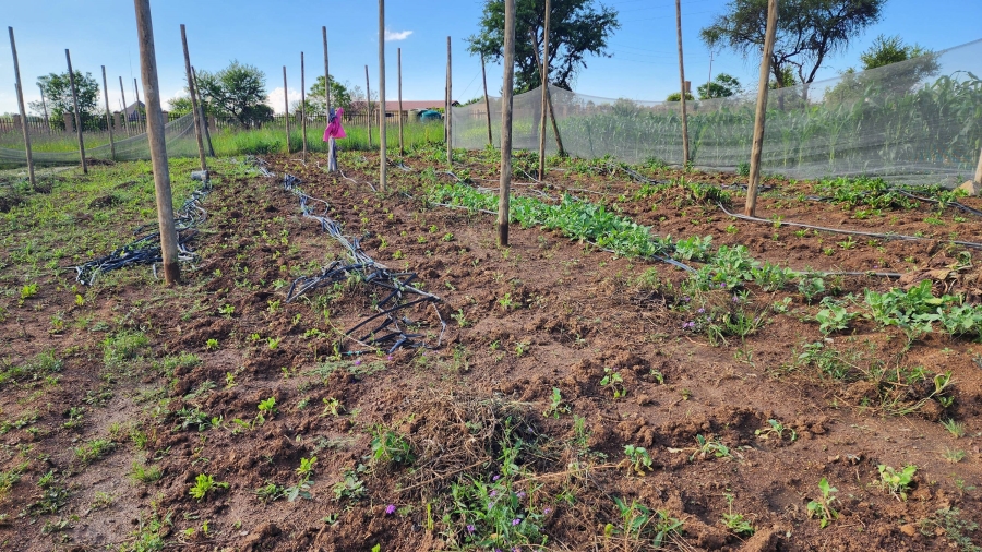 0 Bedroom Property for Sale in Mooiplaats Gauteng