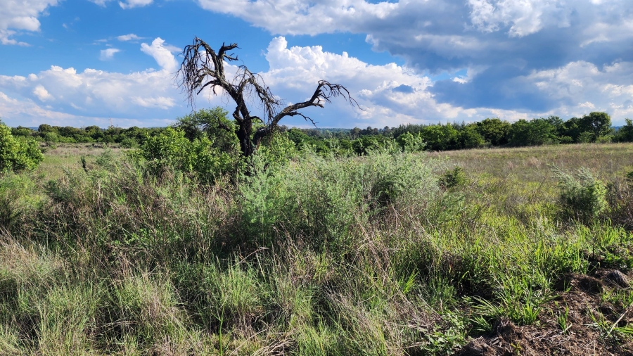 0 Bedroom Property for Sale in Mooiplaats Gauteng