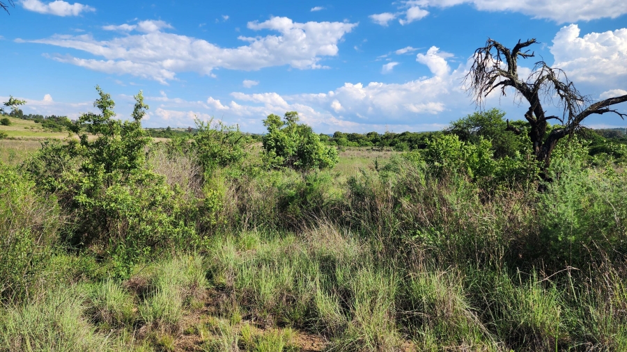 0 Bedroom Property for Sale in Mooiplaats Gauteng