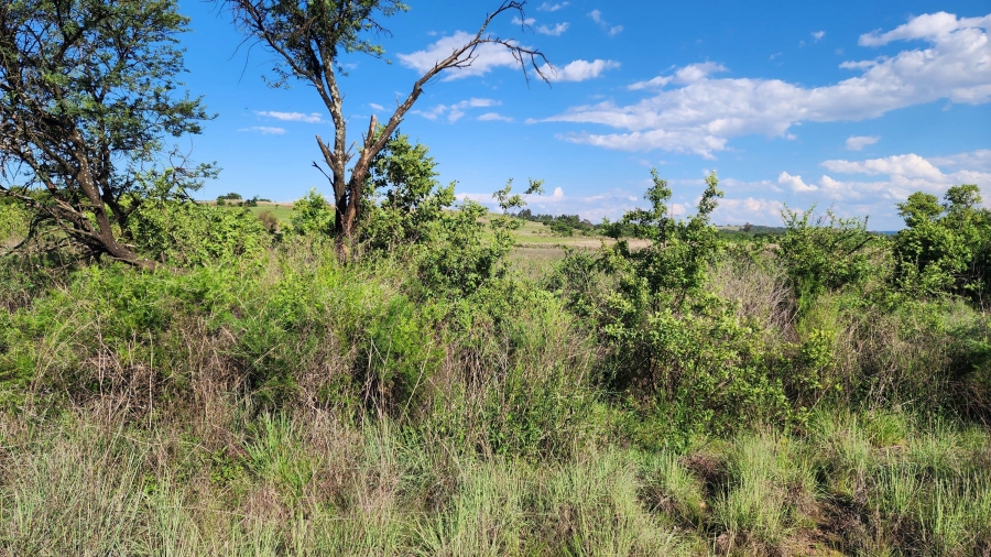 0 Bedroom Property for Sale in Mooiplaats Gauteng