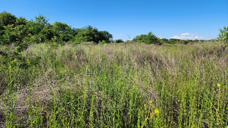 0 Bedroom Property for Sale in Mooiplaats Gauteng