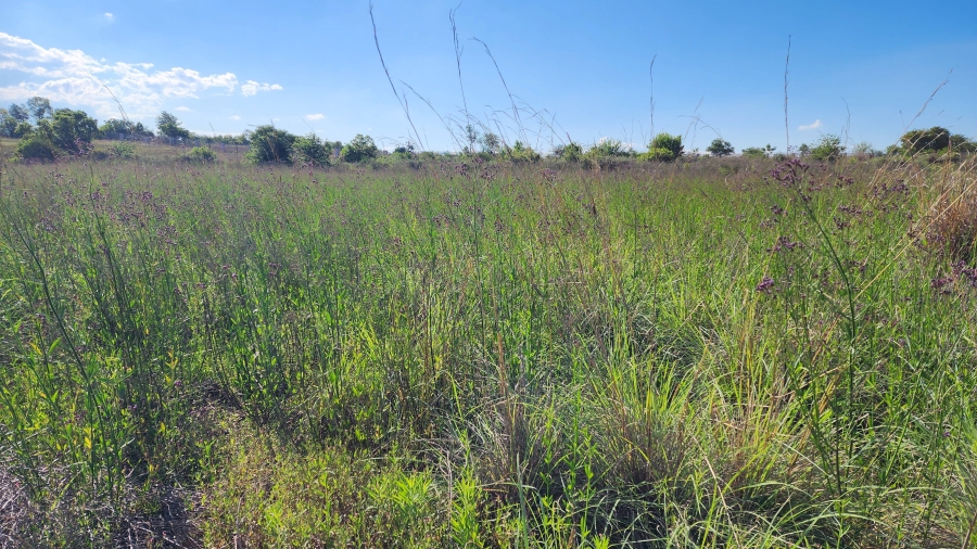 0 Bedroom Property for Sale in Mooiplaats Gauteng