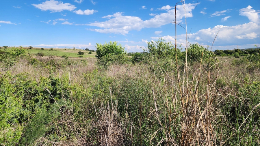 0 Bedroom Property for Sale in Mooiplaats Gauteng