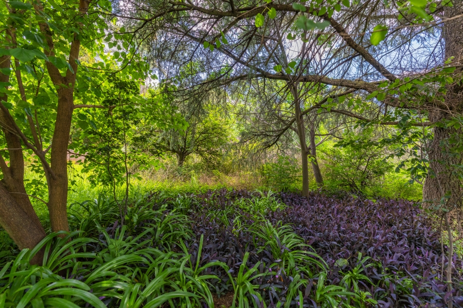 0 Bedroom Property for Sale in Bryanston Gauteng