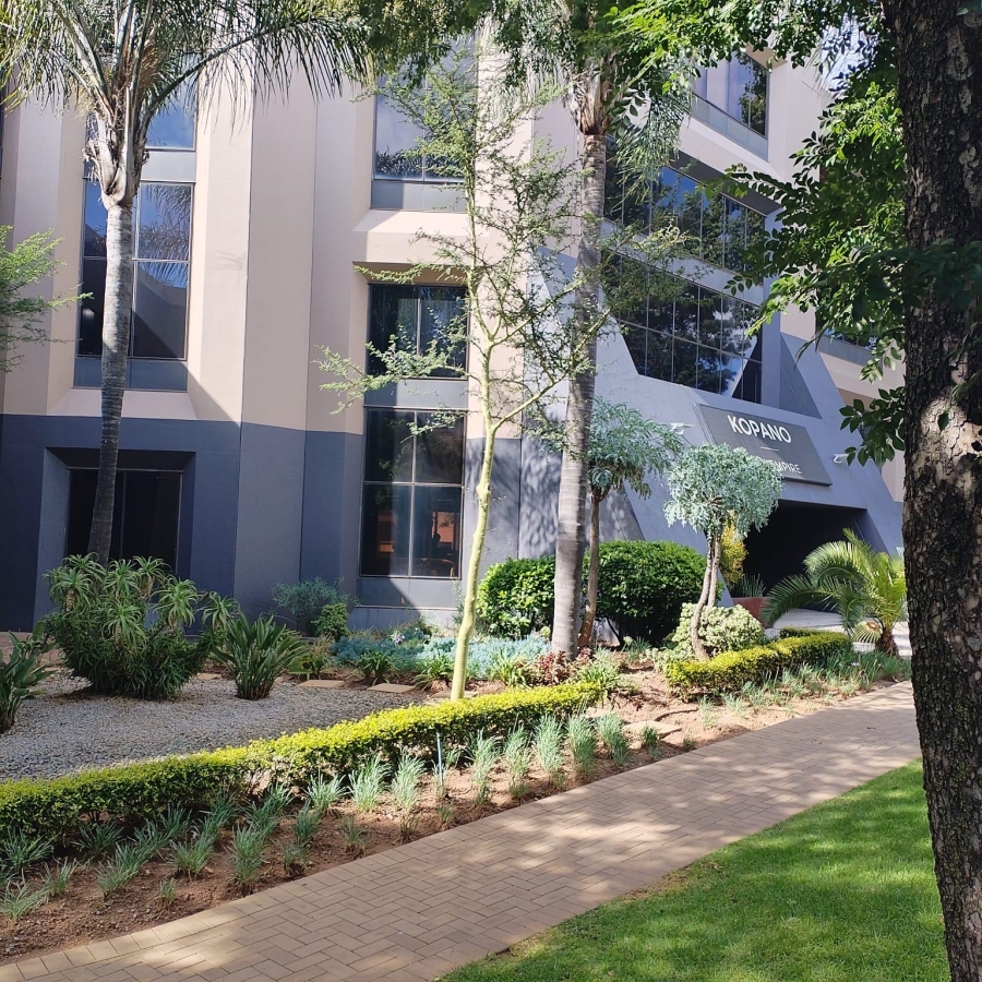 To Let commercial Property for Rent in Parktown Gauteng