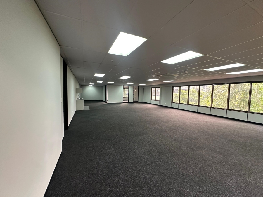 To Let commercial Property for Rent in Parktown Gauteng