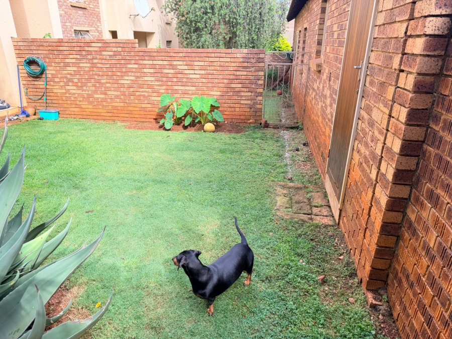 To Let 2 Bedroom Property for Rent in Olympus AH Gauteng