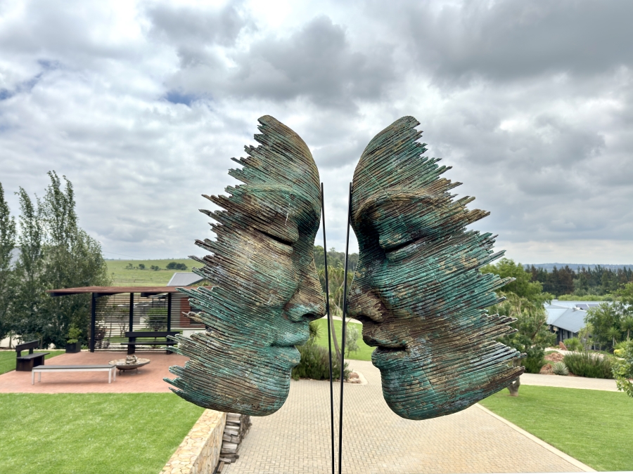 6 Bedroom Property for Sale in Blue Saddle Ranches Gauteng