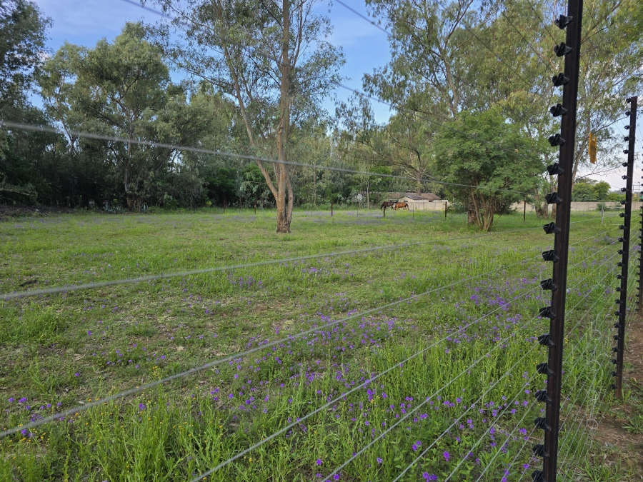 4 Bedroom Property for Sale in Lewzene Estate Gauteng