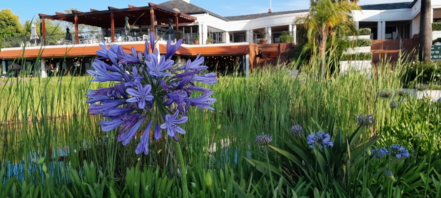 4 Bedroom Property for Sale in Silver Lakes Gauteng