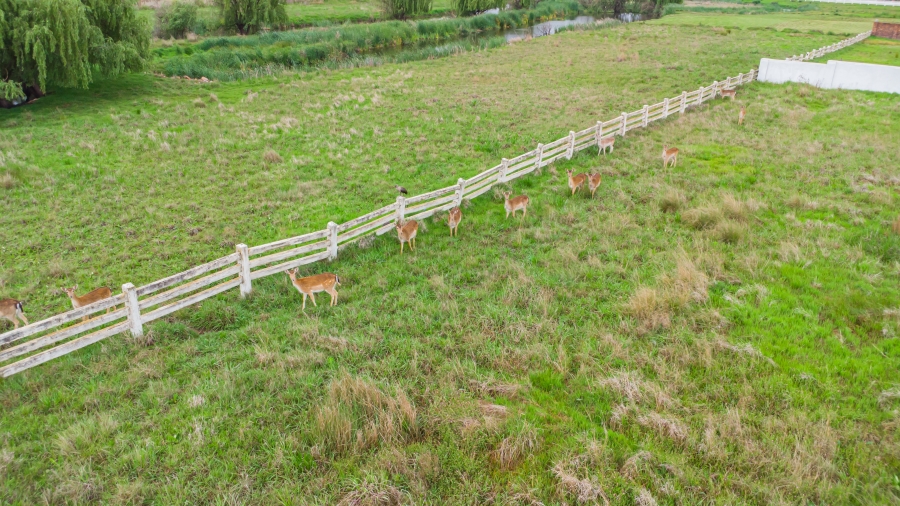 0 Bedroom Property for Sale in Bredell Gauteng