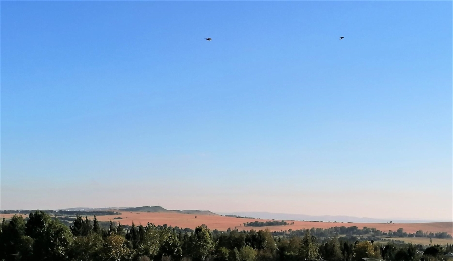 0 Bedroom Property for Sale in Blue Saddle Ranches Gauteng