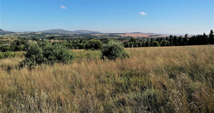 0 Bedroom Property for Sale in Blue Saddle Ranches Gauteng