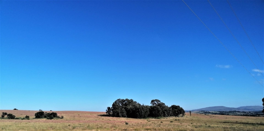 0 Bedroom Property for Sale in Blue Saddle Ranches Gauteng