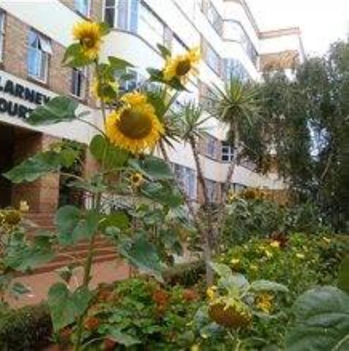 2 Bedroom Property for Sale in Killarney Gauteng